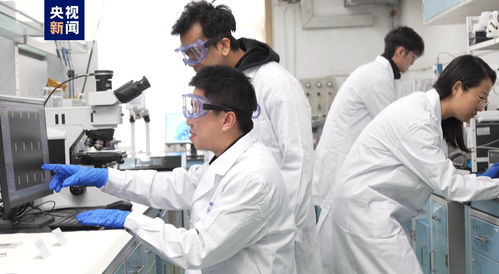 我國科研人員實現二維金屬碲化物材料宏量制備，助力材料科學規模化應用